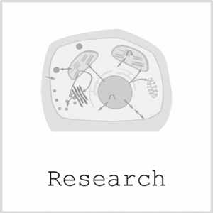 Button_Research